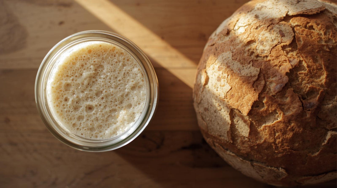 Beginner Wheat Sourdough Recipe