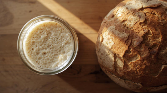Beginner Wheat Sourdough Recipe